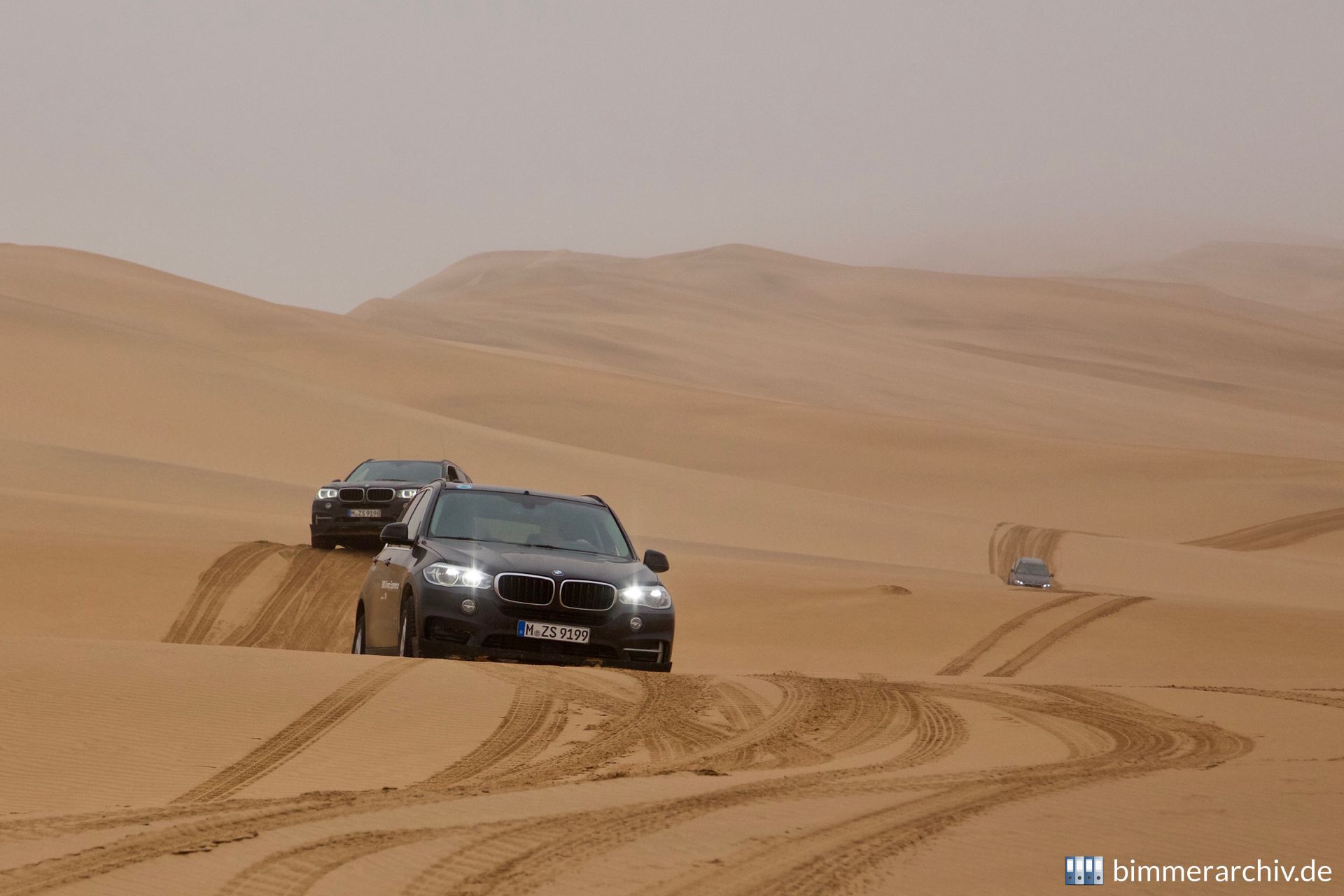 In the Dunes of the Namib Desert
