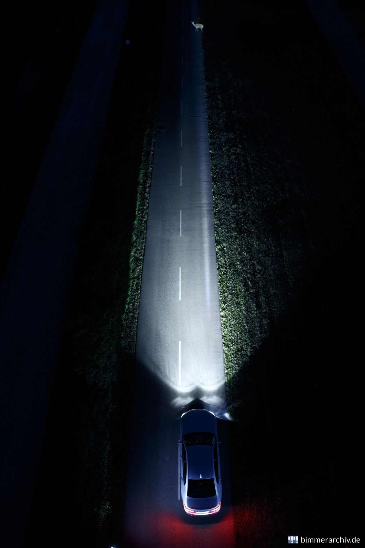 BMW Connected Drive: Night Vision mit Dynamic Light Spot und Tiererkennung